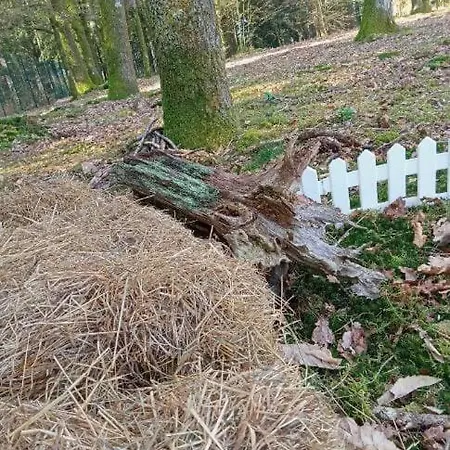 La Bulle Du Temps - Clemenson 1979 *