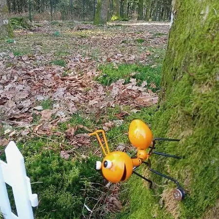 La Bulle Du Temps - Clemenson 1979