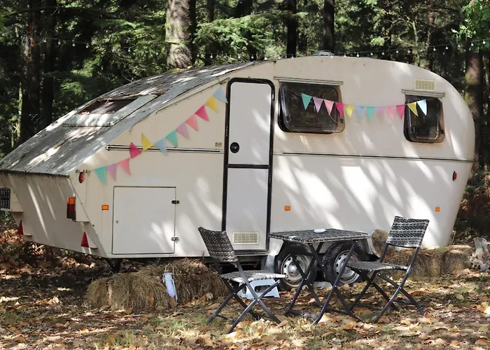 La Bulle Du Temps - Clemenson 1979 Perrou