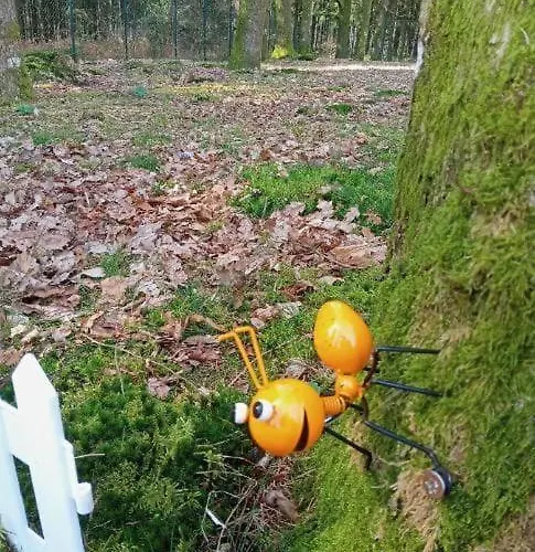 La Bulle Du Temps - Clemenson 1979