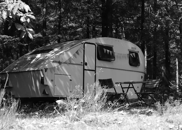 Hotel La Bulle Du Temps - Clemenson 1979 Perrou