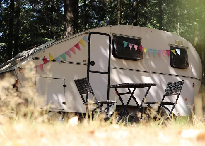 La Bulle Du Temps - Clemenson 1979 Hotel